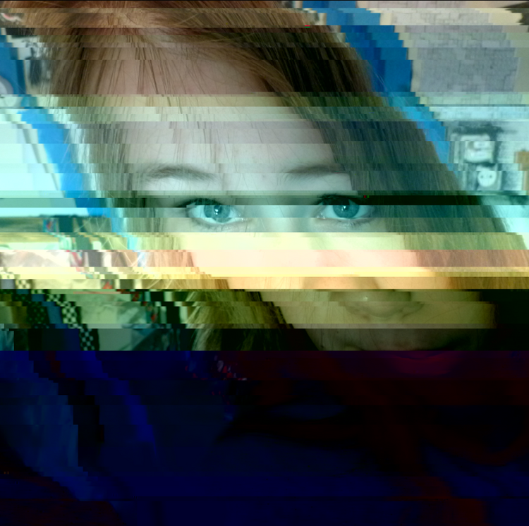 a moderately glitched image