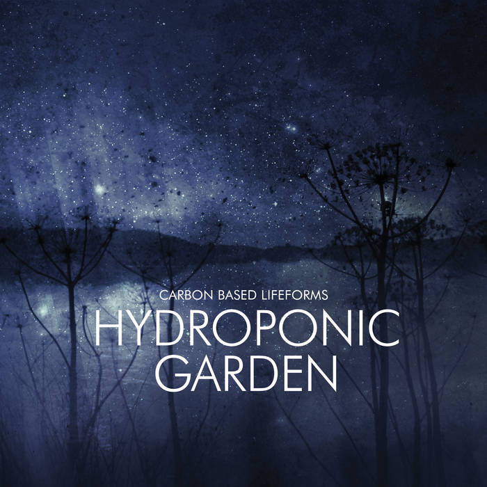 hydroponic_garden